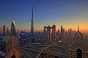 IMG_1488_9