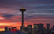 IMG_4317