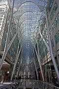 IMG_0388