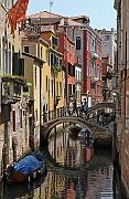 IMG_2857
