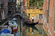 IMG_3291