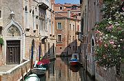 IMG_3404