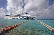 IMG_1365