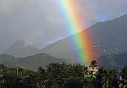 IMG_2530