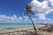 IMG_2597