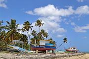 IMG_4350