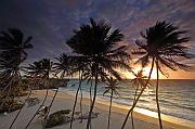 IMG_4766
