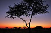 IMG_1737