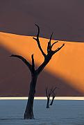 IMG_6556