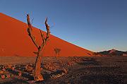IMG_6966