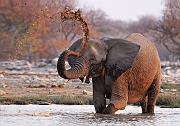 IMG_7627_1