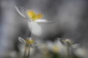 IMG_1637