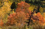 IMG_8798