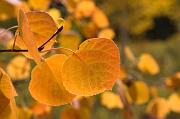 IMG_8820