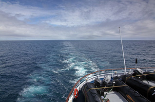 MS Delphin