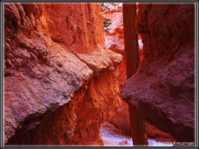 Winter am Bryce Canyon