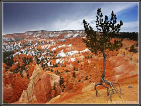 Winter am Bryce Canyon