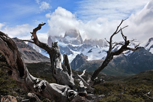 Blick auf den Fitz Roy