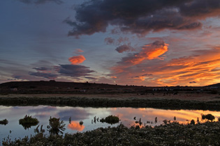 Laguna Nimez