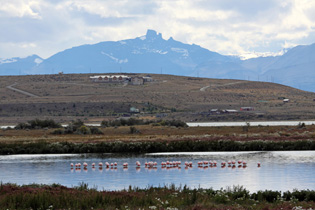 Laguna Nimez