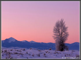 Morgenrot