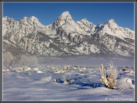 Wintermorgen