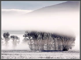 Morgennebel