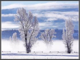 Morgennebel