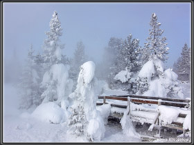 Eisbäume