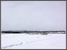 Tetons im Dunst